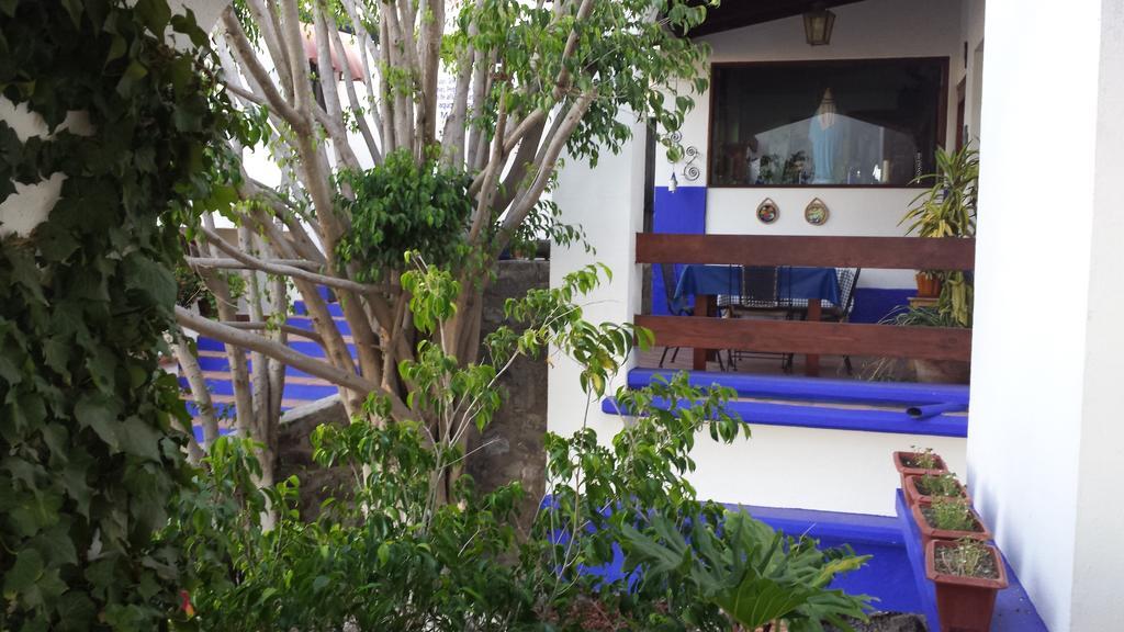 Quinta Los Arrayanes Hotell Ensenada Exteriör bild