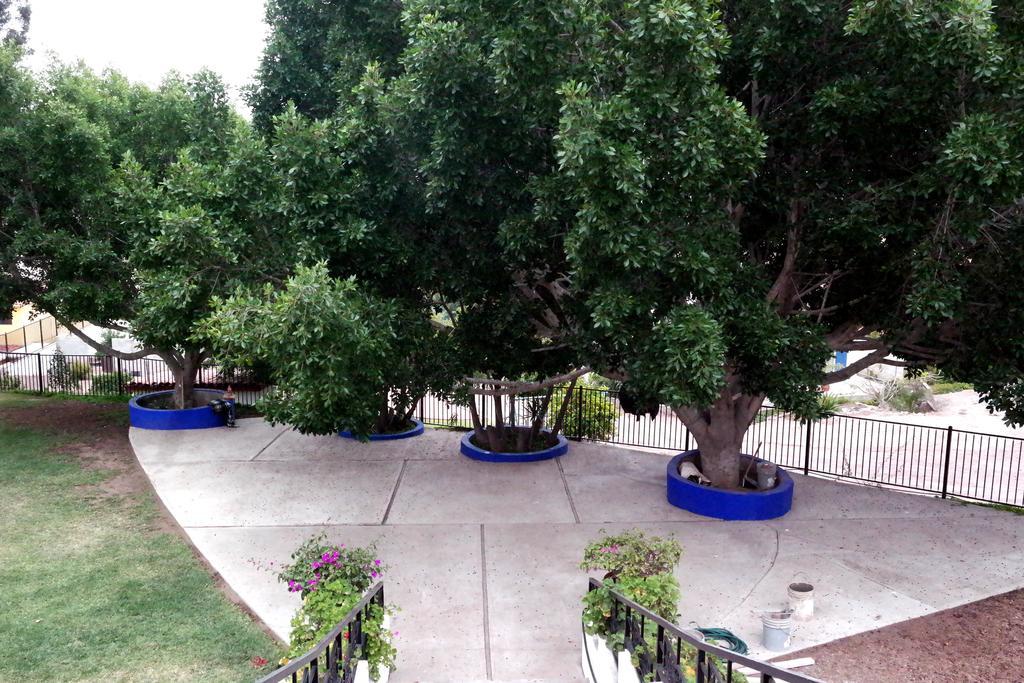 Quinta Los Arrayanes Hotell Ensenada Exteriör bild
